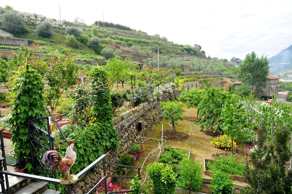 Le Rose Villa San Biagio della Cima Ngoại thất bức ảnh
