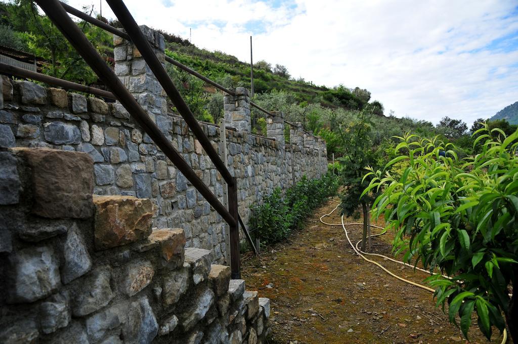 Le Rose Villa San Biagio della Cima Ngoại thất bức ảnh